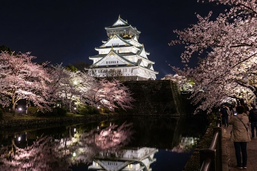 2025年大阪城の桜ライトアップ基本情報